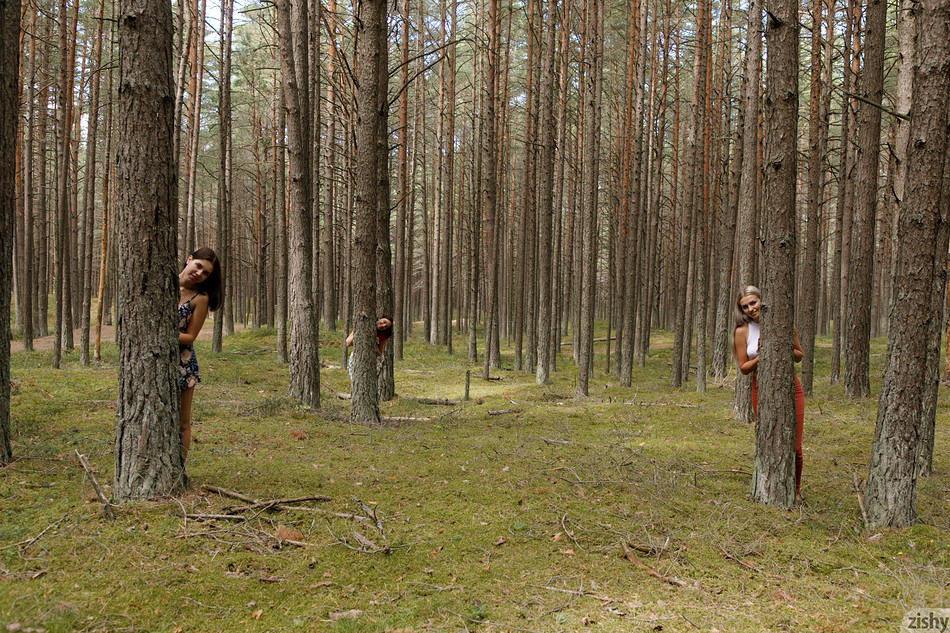 Three Girls One Forest - 4